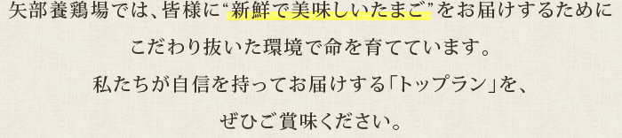 矢部養鶏場では、皆様に“新鮮で美味しいたまご”をお届けするためにこだわり抜いた環境で命を育てています。私たちが自信を持ってお届けする「トップラン」を、ぜひご賞味ください。