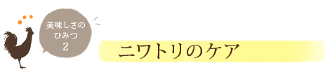 美味しさの秘密2 ニワトリのケア