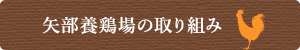 矢部養鶏場の取り組み