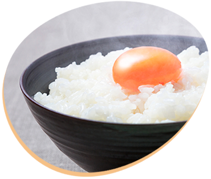 美味しい卵 トップランについて 矢部養鶏場のブランドたまご 美味しい卵 トップランについて 矢部養鶏場のブランドたまご