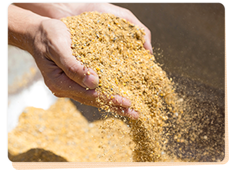 エサへのこだわり