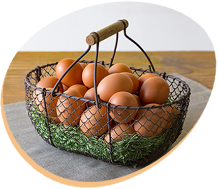 埼玉県認定の優良生産管理農場