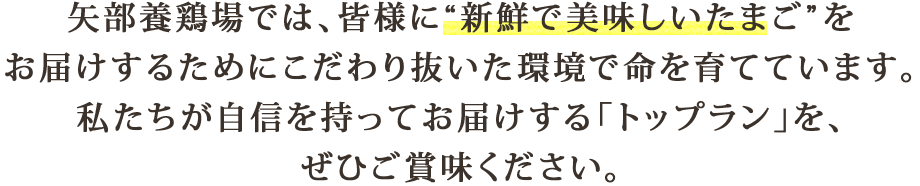 矢部養鶏場では、皆様に“新鮮で美味しいたまご”をお届けするためにこだわり抜いた環境で命を育てています。私たちが自信を持ってお届けする「トップラン」を、ぜひご賞味ください。
