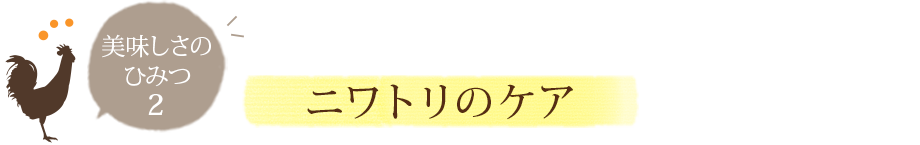 ニワトリのケア