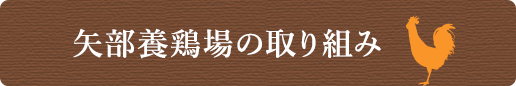 矢部養鶏場の取り組み
